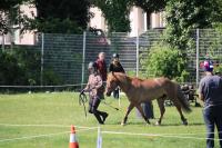 Finale départemental (95) en équifeel à Enghein-les-Bains le 9 Juin 2024