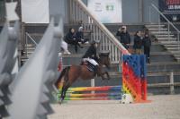 CSO officiel à Maisons-Laffitte du 6 Octobre 2024