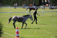 Finale départemental (95) en équifeel à Enghein-les-Bains le 9 Juin 2024