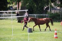 Finale départemental (95) en équifeel à Enghein-les-Bains le 9 Juin 2024