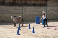 Championnat d'Ile de France en Equifeel à Marcoussis le 26/05/2024