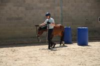 Championnat d'Ile de France en Equifeel à Marcoussis le 26/05/2024