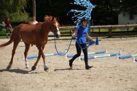 Championnat d'Ile de France en Equifeel à Marcoussis le 26/05/2024