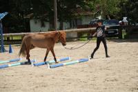 Championnat d'Ile de France en Equifeel à Marcoussis le 26/05/2024