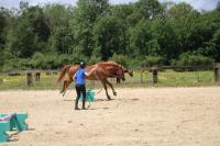 Championnat d'Ile de France en Equifeel à Marcoussis le 26/05/2024