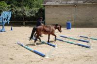 Championnat d'Ile de France en Equifeel à Marcoussis le 26/05/2024