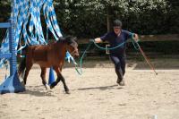 Championnat d'Ile de France en Equifeel à Marcoussis le 26/05/2024