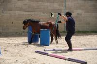 Championnat d'Ile de France en Equifeel à Marcoussis le 26/05/2024